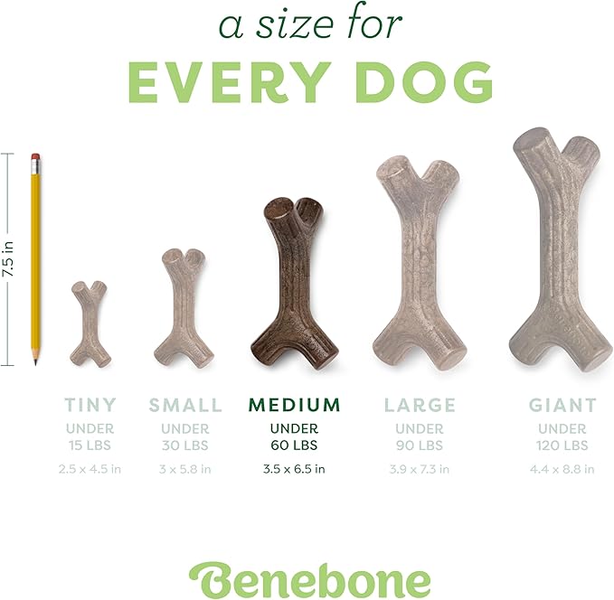 Benebone Bacon Stick Durable Dog Chew Toy - Image 4