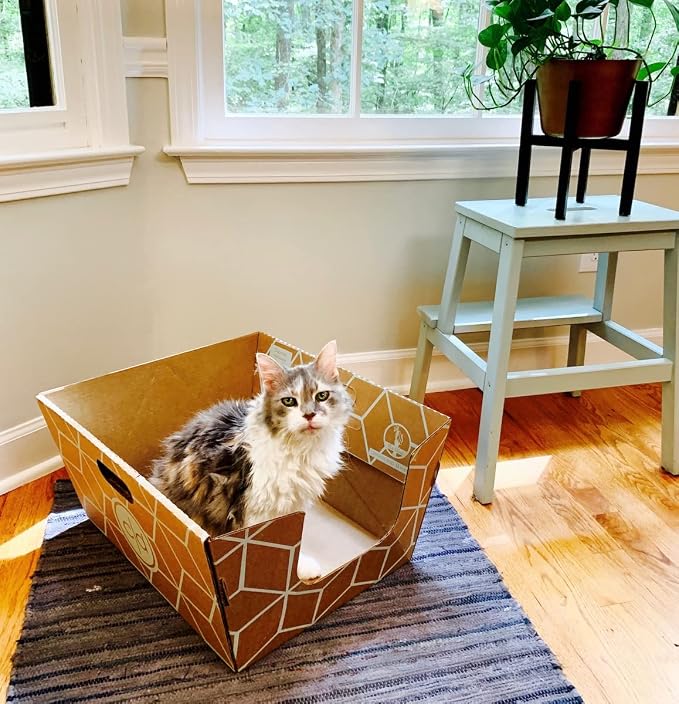 Tallest Disposable Cat Litter Box 15 Trays 2 Trays Litter Box Low Entry - Image 2