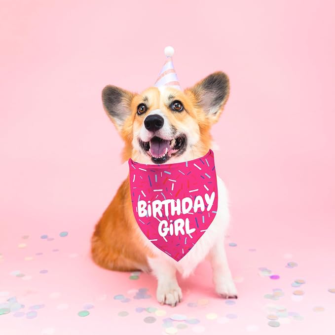 Birthday Girl Dog Bandanas 1 Pack, Pet Scarves HBD Bandanas - Image 2