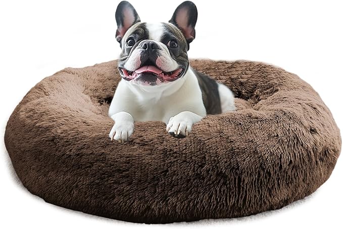 JOLLYVOGUE Calming Dog Bed Medium Size Dog, Anti-Anxiety Donut Medium Pet Bed by JOLLYVOGUE