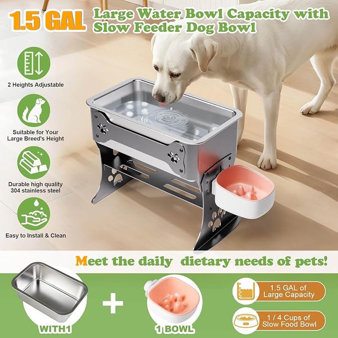 1.5 Gallon Elevated Large Dog Water Bowl, 2 Height Adjustable Stainless Steel - Image 4