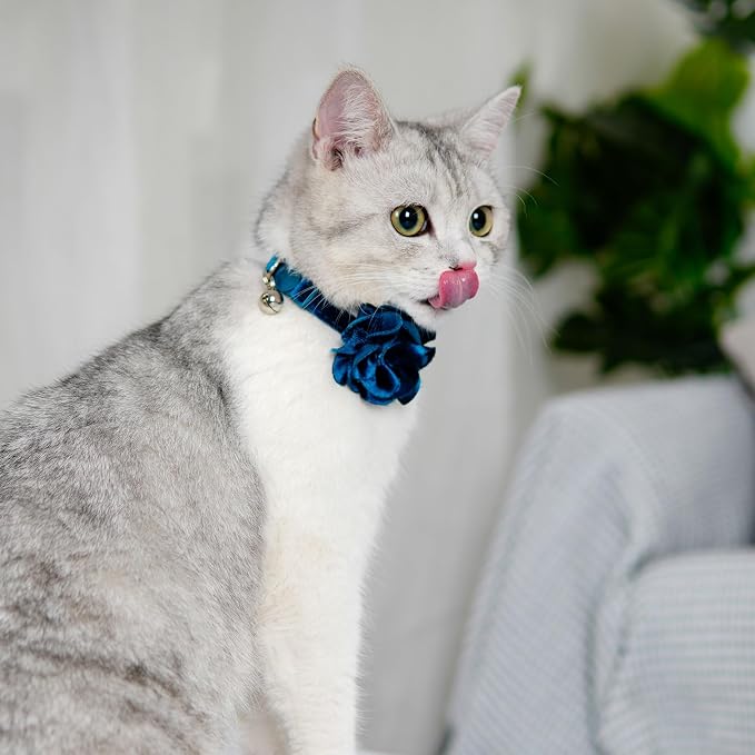 azuza 2 Pack Cat Collar Floral - Image 7
