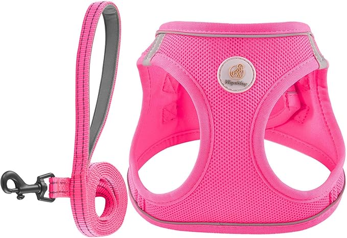 Hipubby Dog Harness and Leash Set, No Pull Soft Mesh Puppy Harness by Hipubby