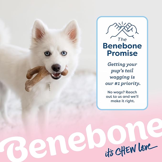 Benebone Puppy Wishbone Durable Dog Chew Toy - Image 6