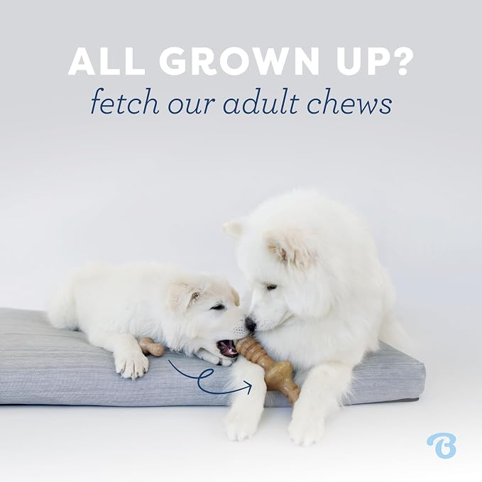 Benebone Puppy 4-Pack Dog Chew Toys, Made in USA, 30lbs and Under, - Image 7