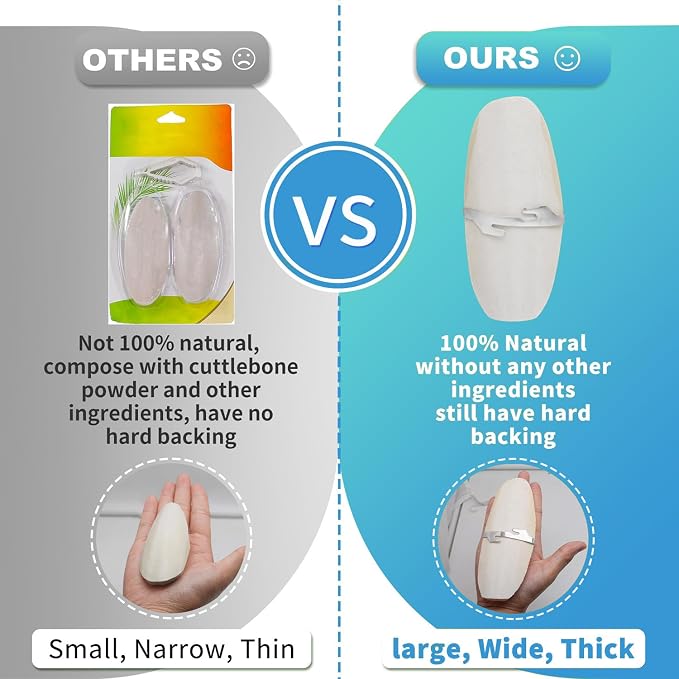 Jmxu's 5"-5.5" Bird Cuttlebone for Parakeets, Cuddle Bone - Image 4