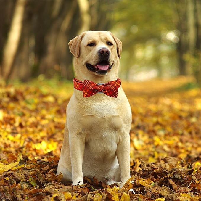 Fall Dog Collar, Pet Collar Bow Plaid Pet Collar Girl Boy Holiday Pet Collars - Image 5