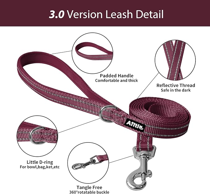 AIITLE Step in Dog Harness and Leash Set - Image 5