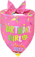 Dog Birthday Bandana Girl for Large X-Large Dogs, Reversible 2 Patterns in 1 by WoffBow