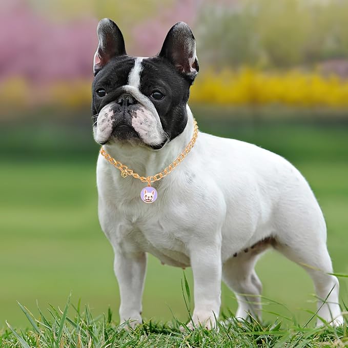 HOWWFALY Dog Collar and Cat Chain Necklace Stainless Steel Adjustable 18K Gold - Image 6