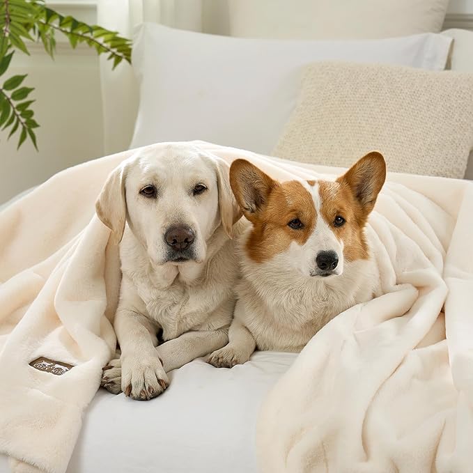 Luxury Faux Fur Throw Blanket Twin, Ultra Soft Waterproof Pet Blanket, Cozy - Image 8