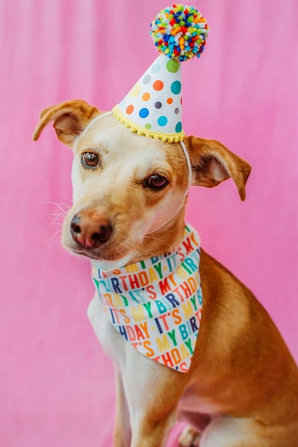 Birthday Dog Bandanas 1 Pack, Colorful HBD Dog Scarfs - Image 5