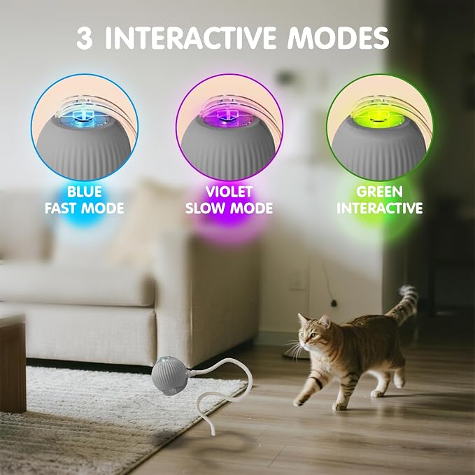 Rocfish Durable Interactive Cat Toys - Image 4