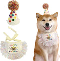 Dog Princess Costumes Puppy Birthday Bandana Scarf and Party Hat Cute Lace Dog by ROHOME