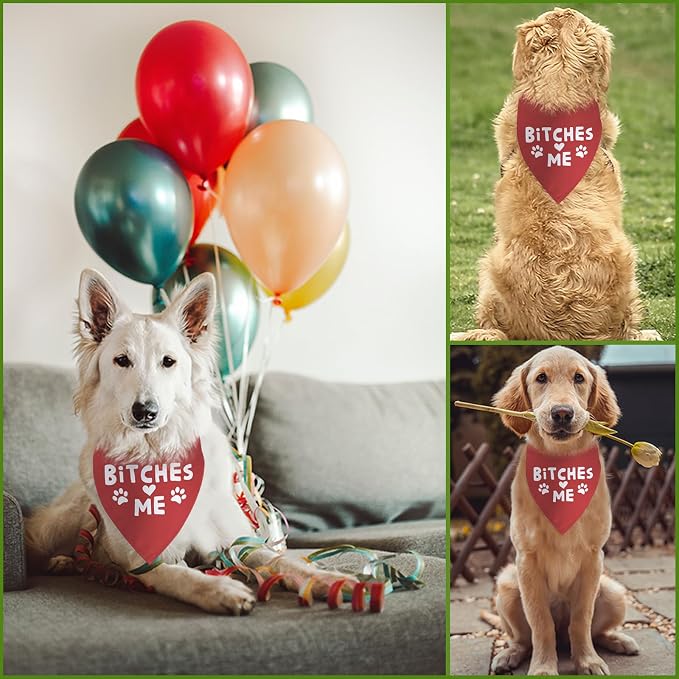 Funny Dog Birthday Bandana Boy Girl Pets Birthday Gift - Image 5