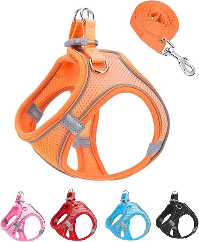 XXXS Orange Soft Mesh Dog Harness and Leash Set, No Escape Puppy Harnesses by Unknown