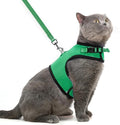 PUPTECK Soft Mesh Cat Vest Harness and Leash Set Puppy Padded Pet Harnesses by PUPTECK