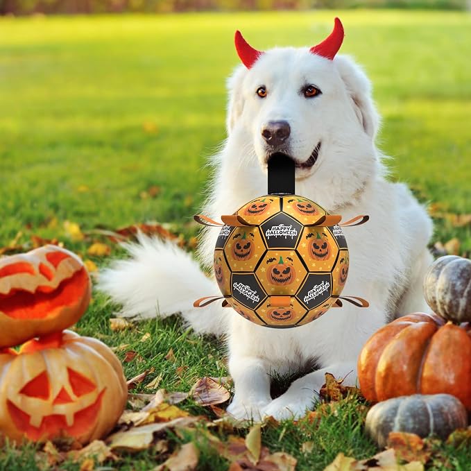 QDAN Halloween Dog Toys, Soccer Balls, Interactive Pet Toys, Puppy Dogs - Image 3