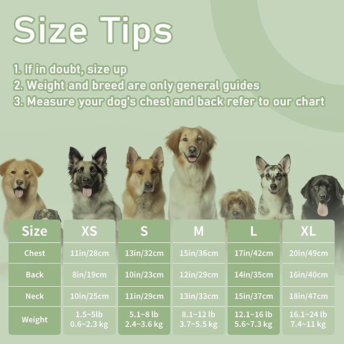 Dog Clothes, Stripe Dogs Shirts - Image 4