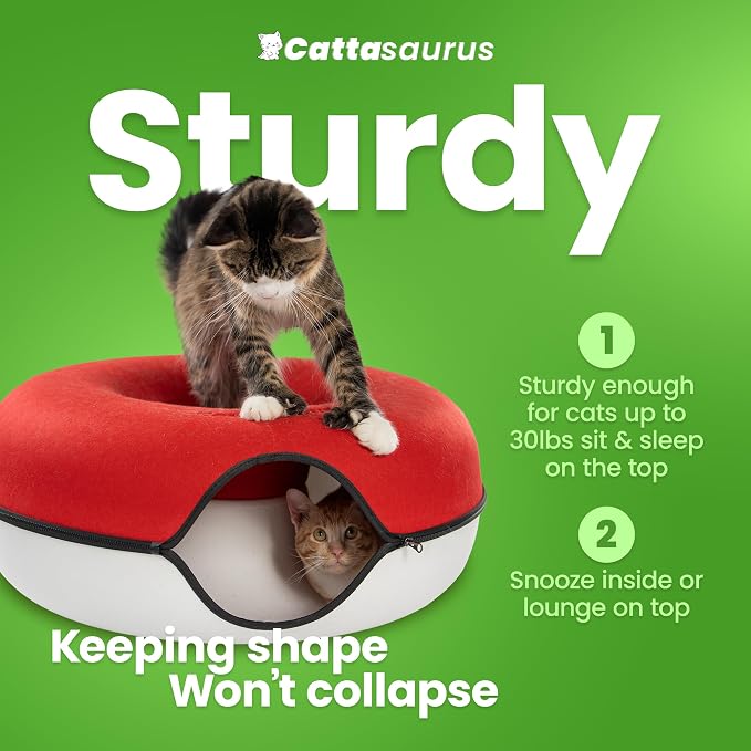 Cattasaurus Peekaboo Cat Cave, Extra Spacious - Image 2