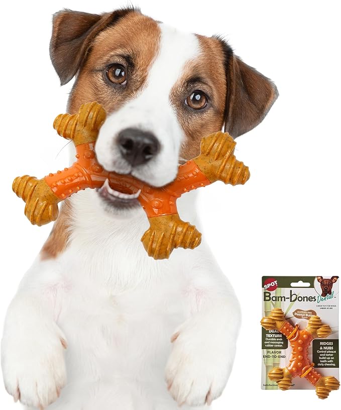 SPOT Bam-Bones Dental X-Bone - Image 5