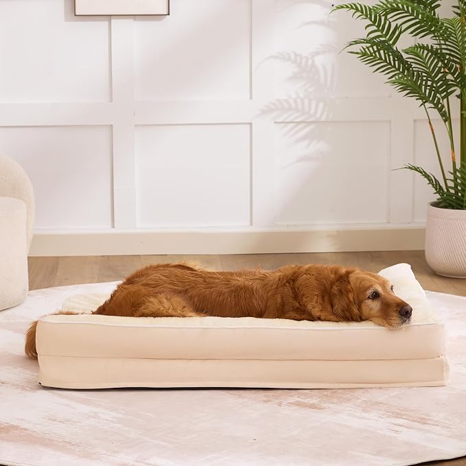 Dog Bed Large Sized Dogs, Orthopedic Dog Bed - Image 7