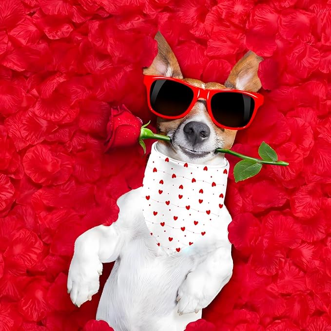 Valentines Dog Bandanas, Heart Red White Heart Dog Scarf, Mother's Day Dog - Image 4