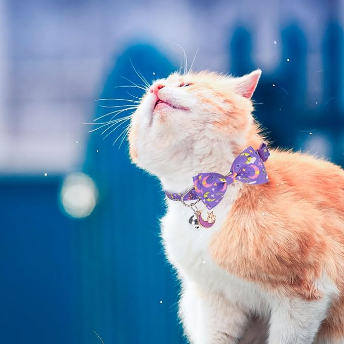 SCENEREAL Cat Collar Breakaway 3 Pack - Image 7