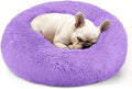 Hoewina Dog & Cat Bed, 20in Cat Beds by Hoewina