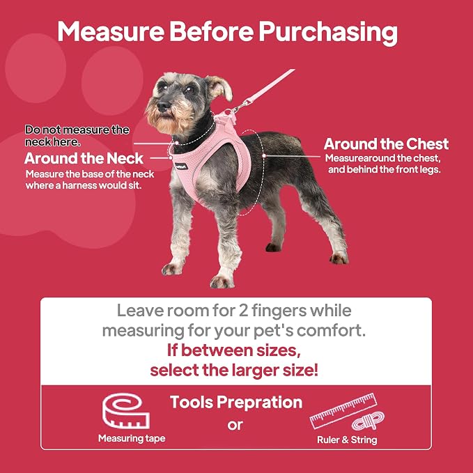 PetiFine Extra Small Step in Dog Harness and Leash Set, Cat Harness and Leash - Image 9