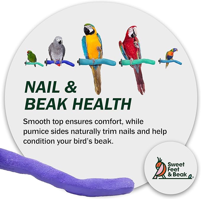 Sweet Feet & Beak Safety Pumice Bird Perch, Medium 1-1/4" X 12" - Image 8