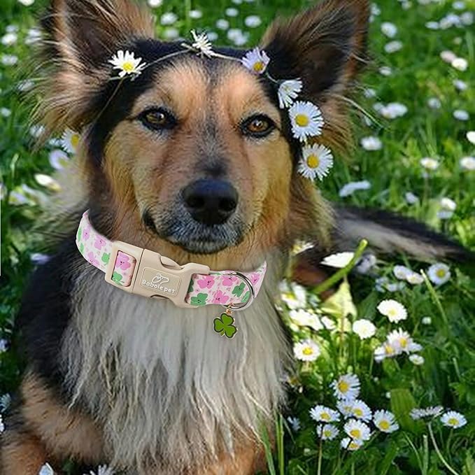 St Patricks Day Dog Collar for Large Dogs - Image 2