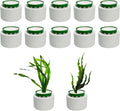 12 Pack New Upgrade Aquarium Plant Weights, Aquatic Plants Fixed Ring Set by QoTang