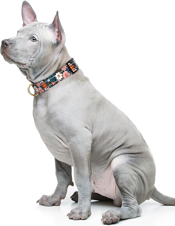 Reflective Dog Collar for Medium Dogs, Cute Flower Theme Adjustable Heavy-Duty - Image 2