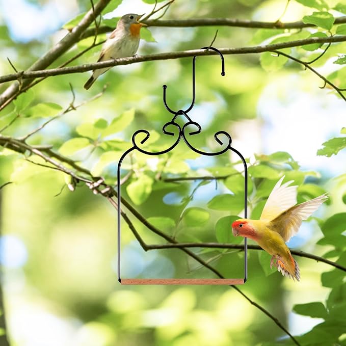 2 Pack Hummingbird Swings and Perches, Metal Frame Bird Swing - Image 4