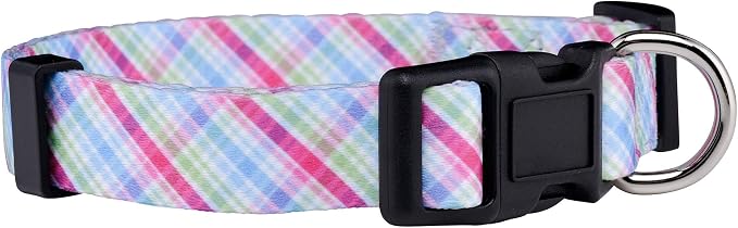 Native Pup Easter Dog Collar, Cute Spring Gift by NativePup