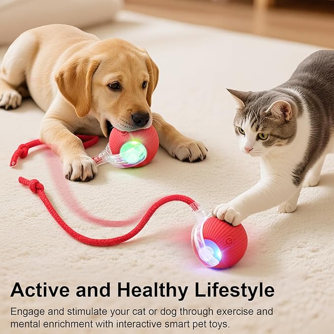 Interactive Electric Automatic Rolling Moving USB Rechargeable Self Activated - Image 2