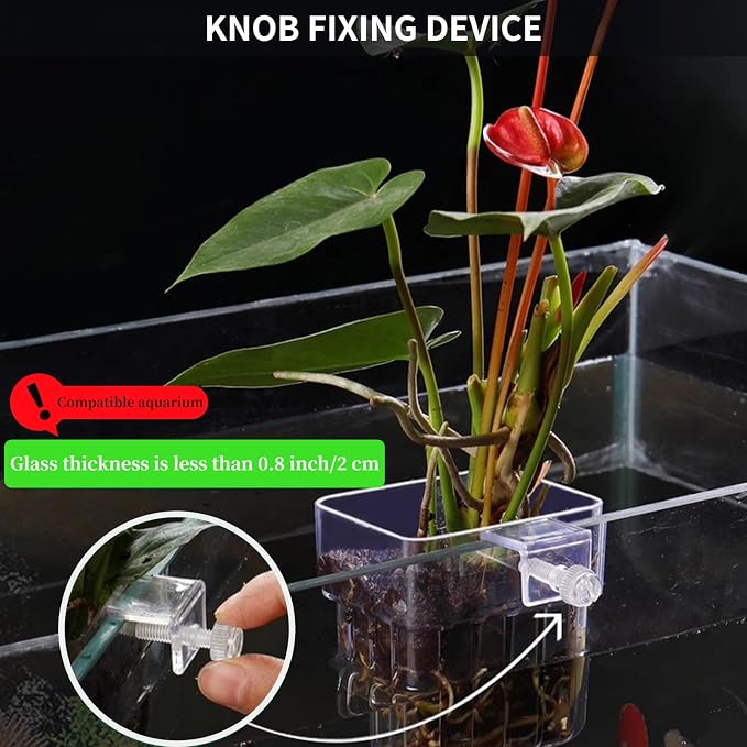 2 PCS Aquarium Plant Holder Top Hanging Fish Tank Plant Pot Aquarium Planter - Image 4