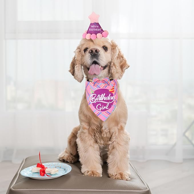 ADOGGYGO Dog Birthday Party Supplies - Image 2