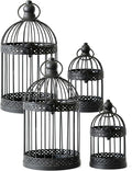 Vela Lanterns Bird Cage Decor Candle Holder Lantern Decorative Table by VelaCandleLanterns