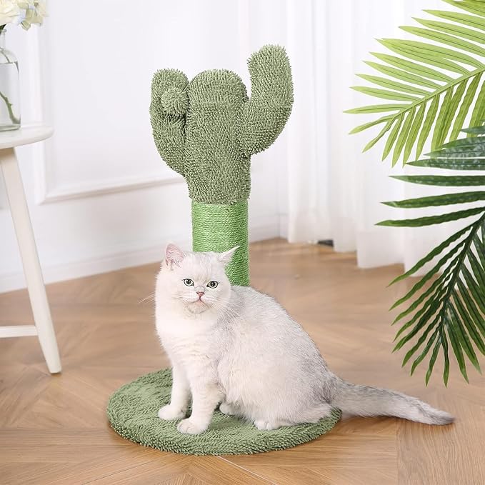 Amazon Basics Cat Scratching Post, Indoor Cactus - Image 6