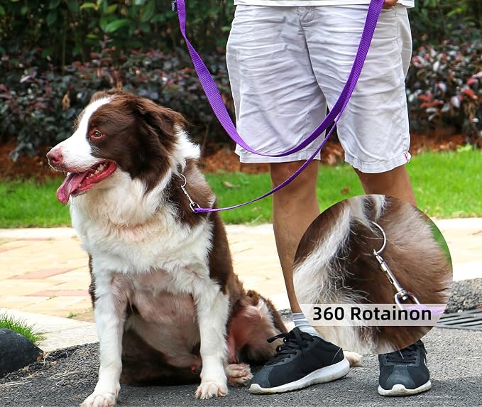AMAGOOD Dog/Puppy Obedience Recall Training Agility Lead-15 ft 20 ft 30 ft 50 - Image 2