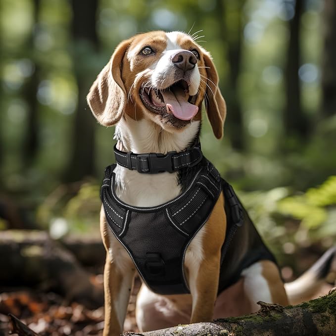 Joytale Reflective Dog Collar, Soft Neoprene Padded, Metal D-Ring, Nylon Pet - Image 2