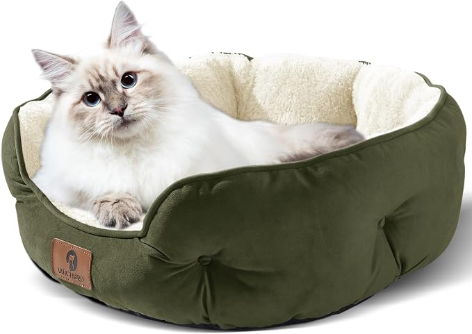 Asvin Small Dog Bed for Small Dogs, Cat Beds for Indoor Cats, Pet Bed for Puppy - Image 2