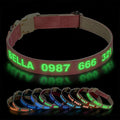 DOG WORLD Custom Fluorescent Dog Collar by DOG+WORLD