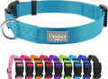 Dog Collar Light Blue Basic Dog Collars by Penseepet