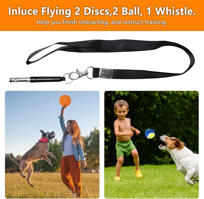 Premium Dog Agility Equipment Set Outdoor Indoor Game, Tire Jump + Hurdle Jump - Image 3