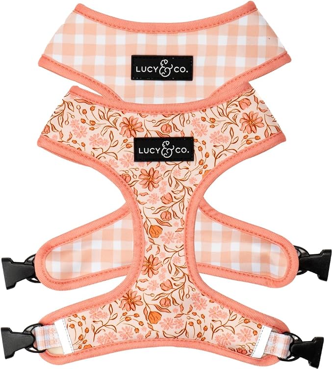 Lucy & Co. Cute Reversible Dog Harness Walking Halter by LucyCo