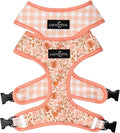 Lucy & Co. Cute Reversible Dog Harness Walking Halter by LucyCo