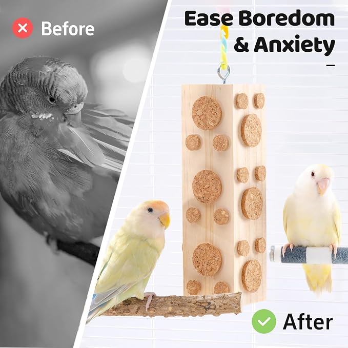 2 Pcs Wooden Bird Chew Toys - Image 6